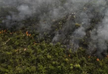 Hutan Serra das bandeira di Brasil Terbakar Hebat