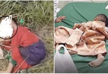 Bocah Hilang 2 Tahun Ditemukan di Semak Sampit dan Ibu Telawang Ini Mengaku Anaknya, Begini Kondisinya