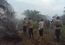 Puntung Rokok Sebabkan 47 Titik Panas di 5 Kabupaten/Kota di Kaltim Stasiun Balikpapan dari Badan Meteorologi, Klimatologi, dan Geofisika (BMKG) melaporkan adanya 47 titik panas yang tersebar di beberapa wilayah di Kalimantan Timur (Kaltim)