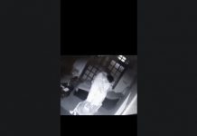 Tragedi Gantung Diri Pasangan Kekasih Viral Gegerkan Netizen pasangan kekasih terlihat mengakhiri hidup dengan cara gantung diri bersama, aksi tragis ini terekam oleh kamera CCTV dan dengan cepat menjadi viral di media sosial.