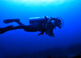 10 Tips Saat Berpergian ke Lokasi Wisata Scuba Diving Berikut tips atau panduan saat kamu ingin berpergian ke lokasi wisata pantai. Terutama untuk kamu yang suka scuba diving.