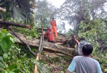 Padang Diguyur Hujan dan Angin Kencang, BPBD Kota Bertindak Tim Reaksi Cepat Penanggulangan Bencana (TRC PB) Badan Penanggulangan Bencana Daerah (BPBD) Kota Padang